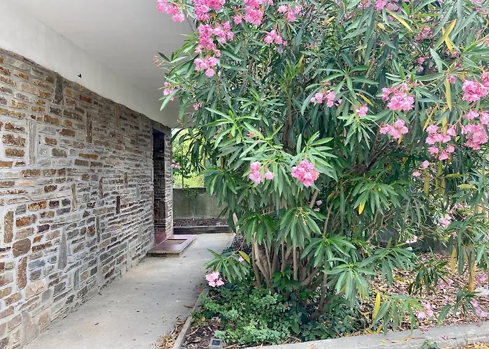 Maison Mignardise - Cite קרקסון